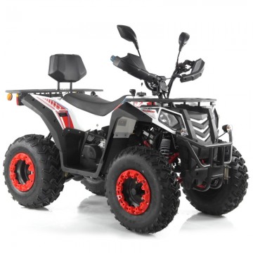 Quad ASIX MAGNUM 250cm3...