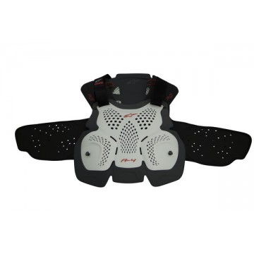 Buzer Alpinestars A-1+ W/R