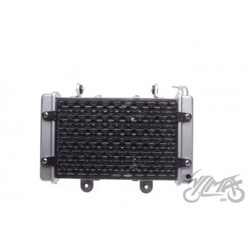 LIQUID COOLER WITH ATV250...